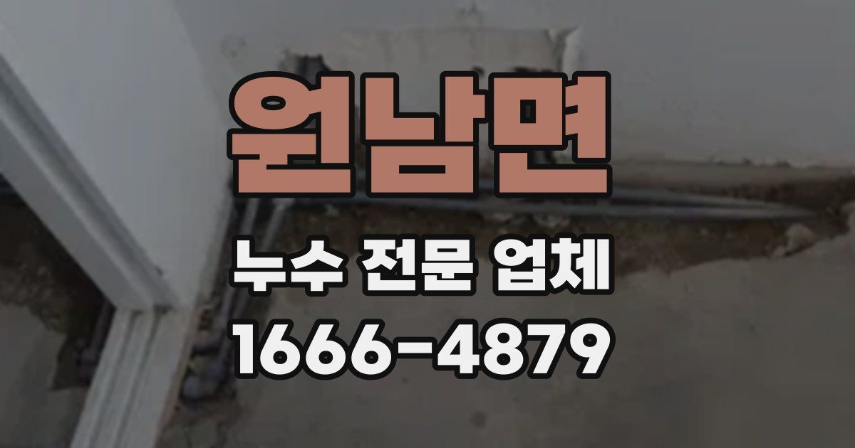 원남면 누수 전문 업체