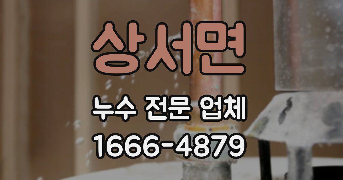 상서면 누수 전문 업체
