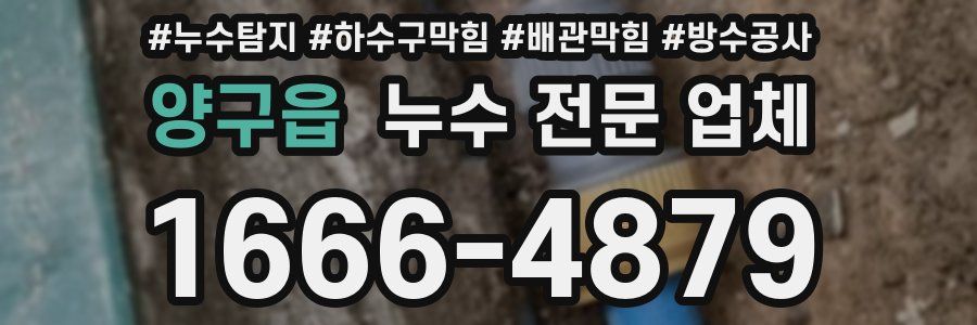 양구읍 누수 전문 업체