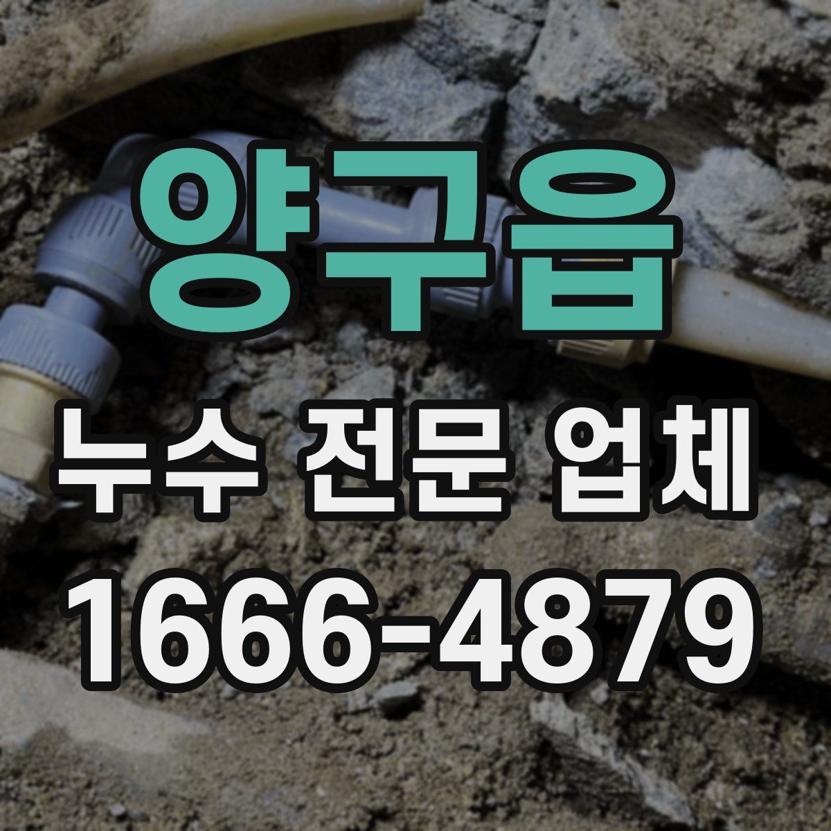 양구읍 누수 전문 업체