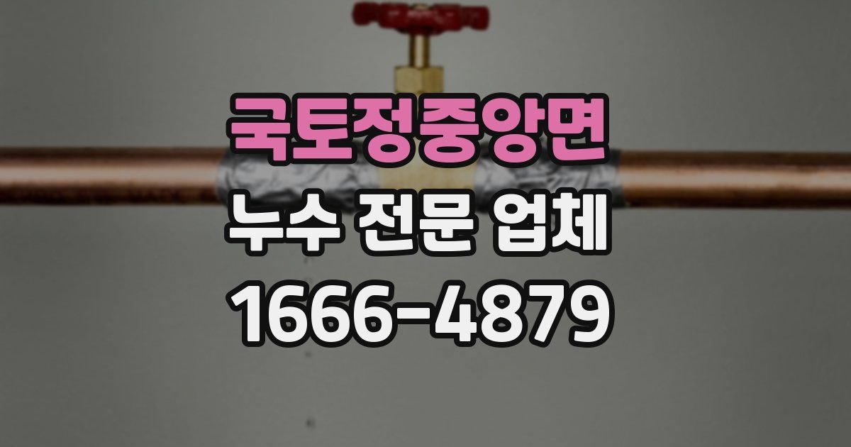 국토정중앙면 누수 전문 업체