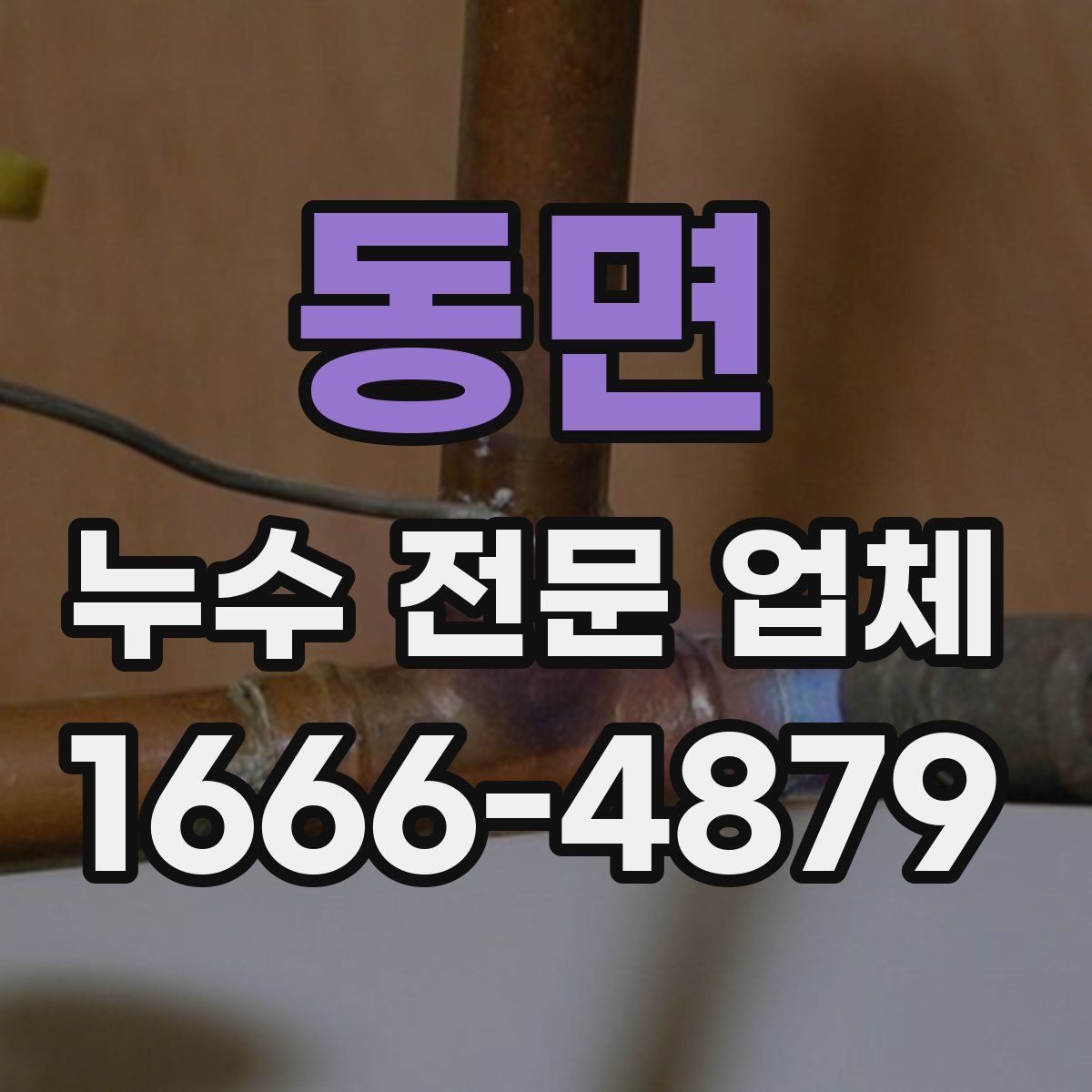 동면 누수 전문 업체