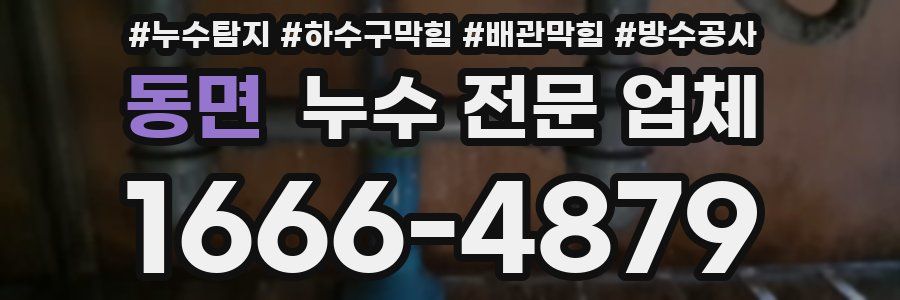 동면 누수 전문 업체