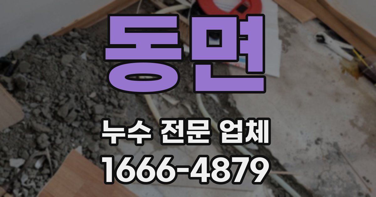 동면 누수 전문 업체