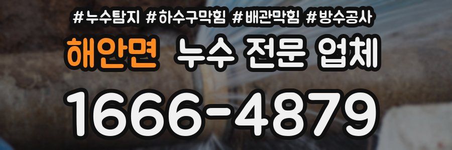 해안면 누수 전문 업체