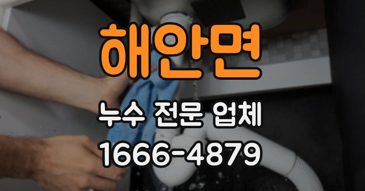 해안면 누수 전문 업체
