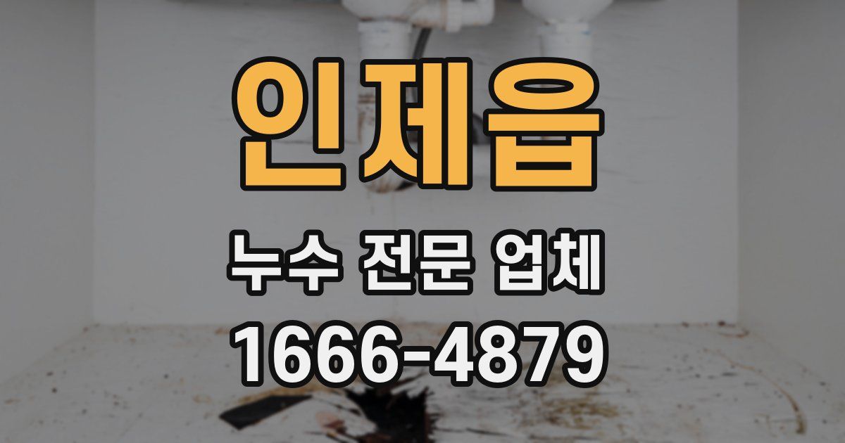 인제읍 누수 전문 업체