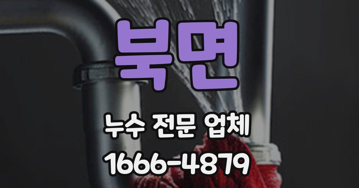 북면 누수 전문 업체