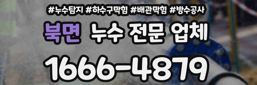 북면 누수 전문 업체