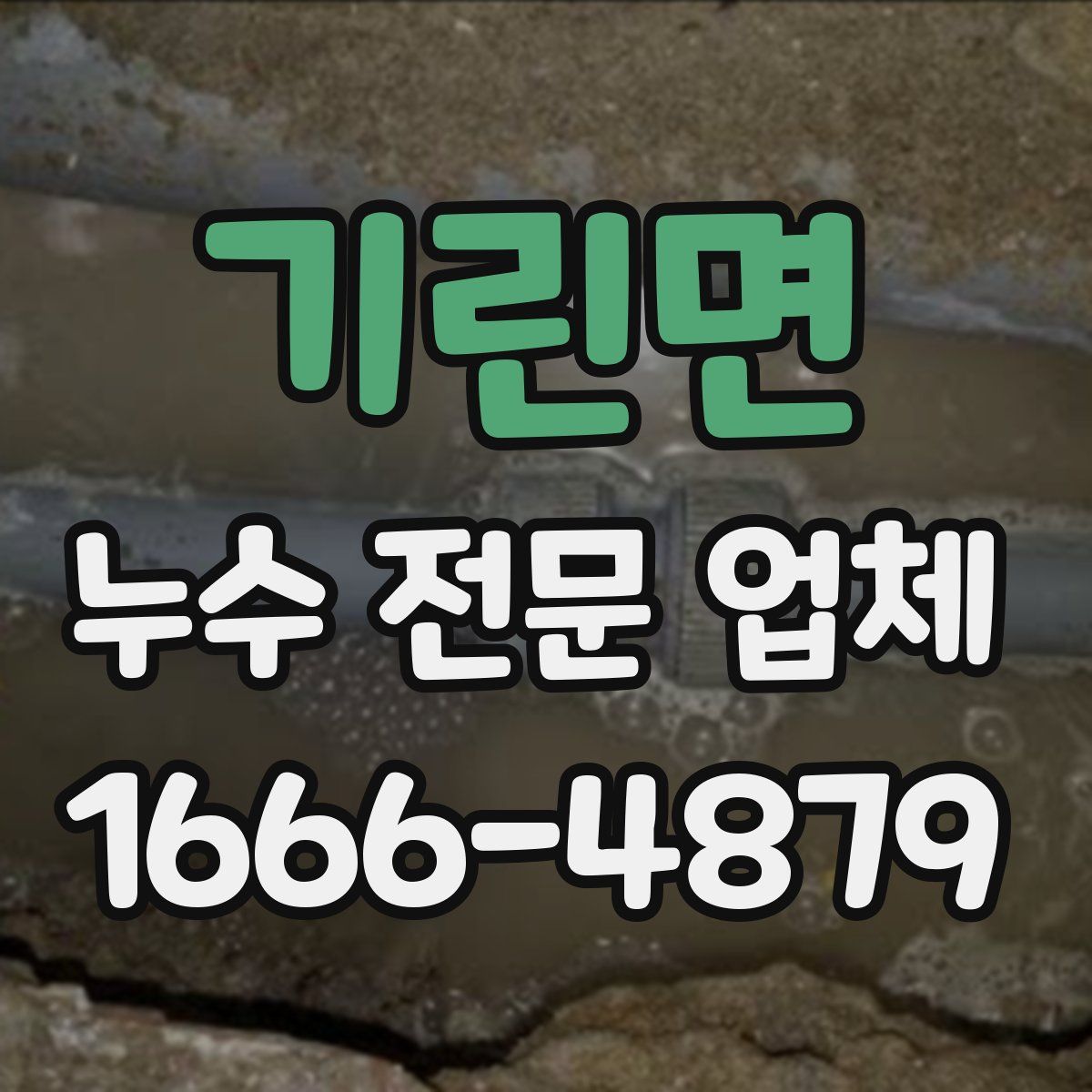 기린면 누수 전문 업체