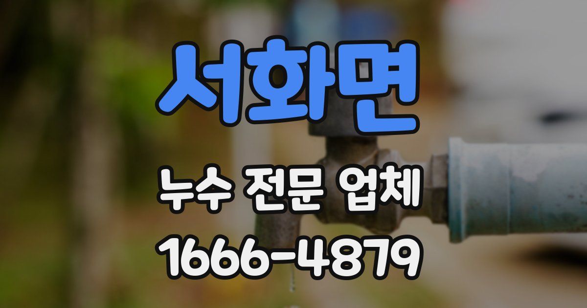 서화면 누수 전문 업체