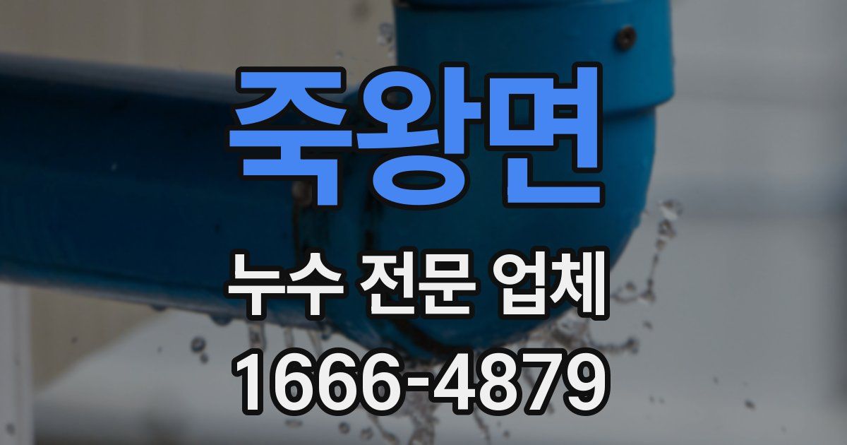 죽왕면 누수 전문 업체