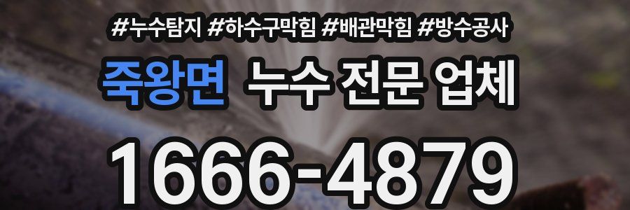 죽왕면 누수 전문 업체