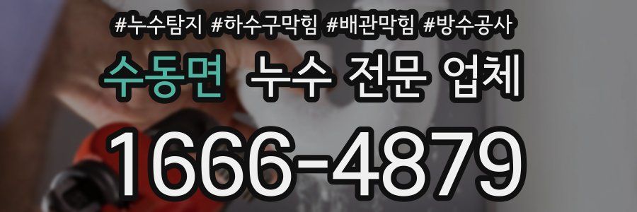 수동면 누수 전문 업체