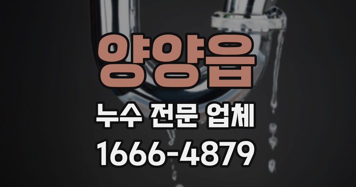 양양읍 누수 전문 업체