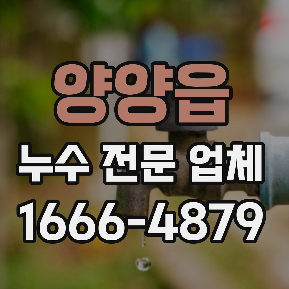 양양읍 누수 전문 업체