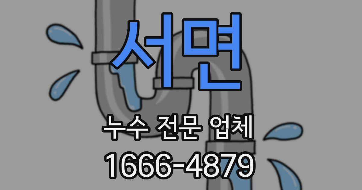 서면 누수 전문 업체