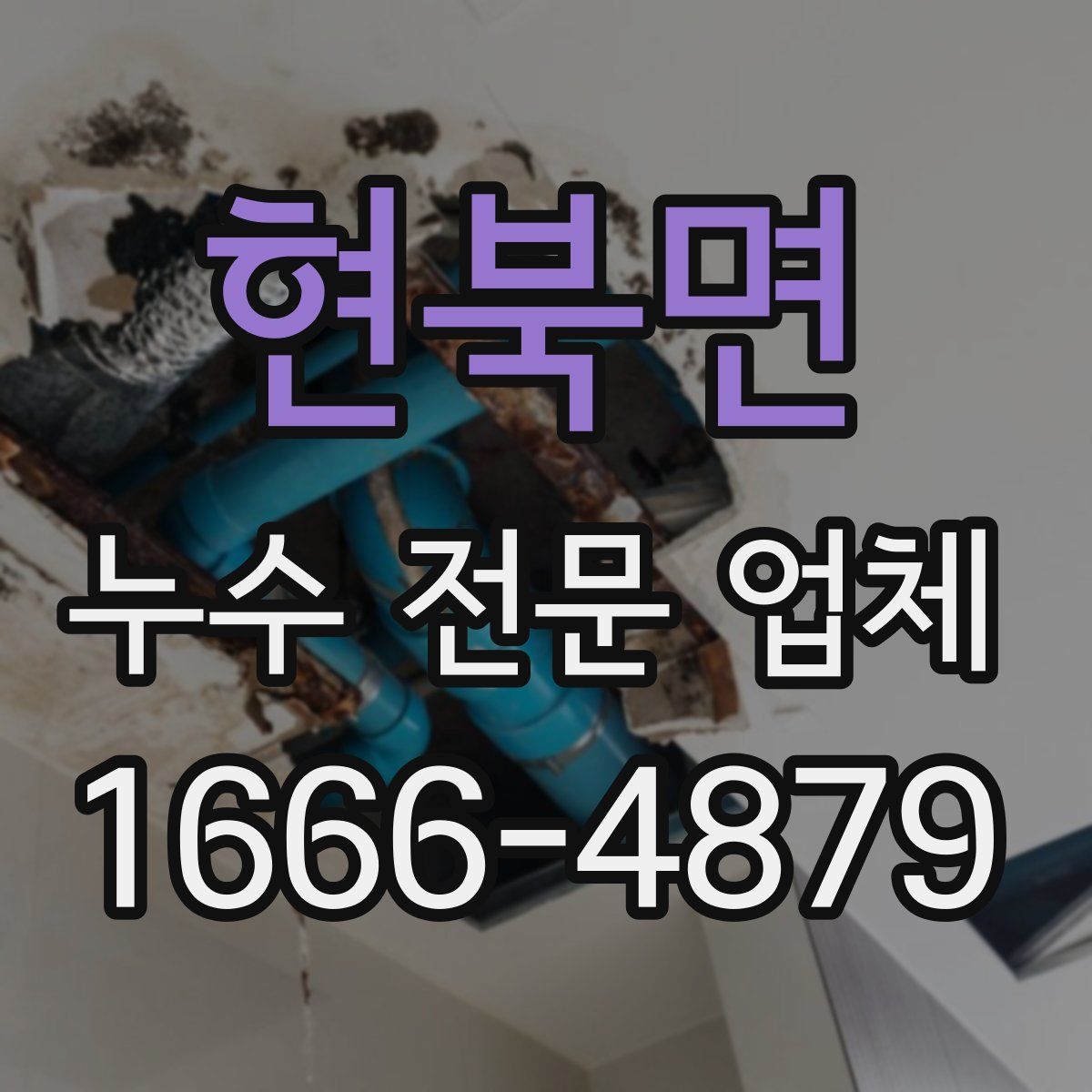현북면 누수 전문 업체