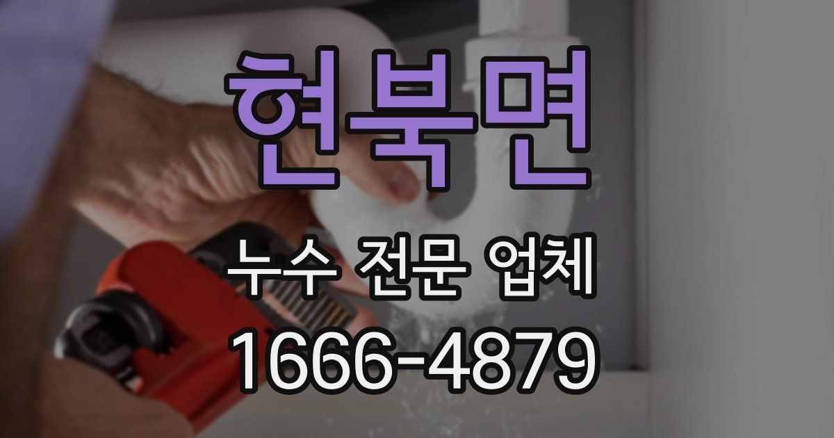 현북면 누수 전문 업체