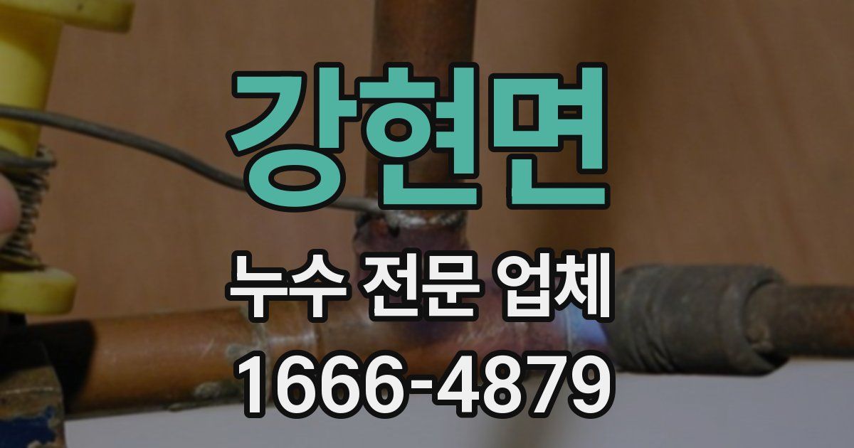 강현면 누수 전문 업체