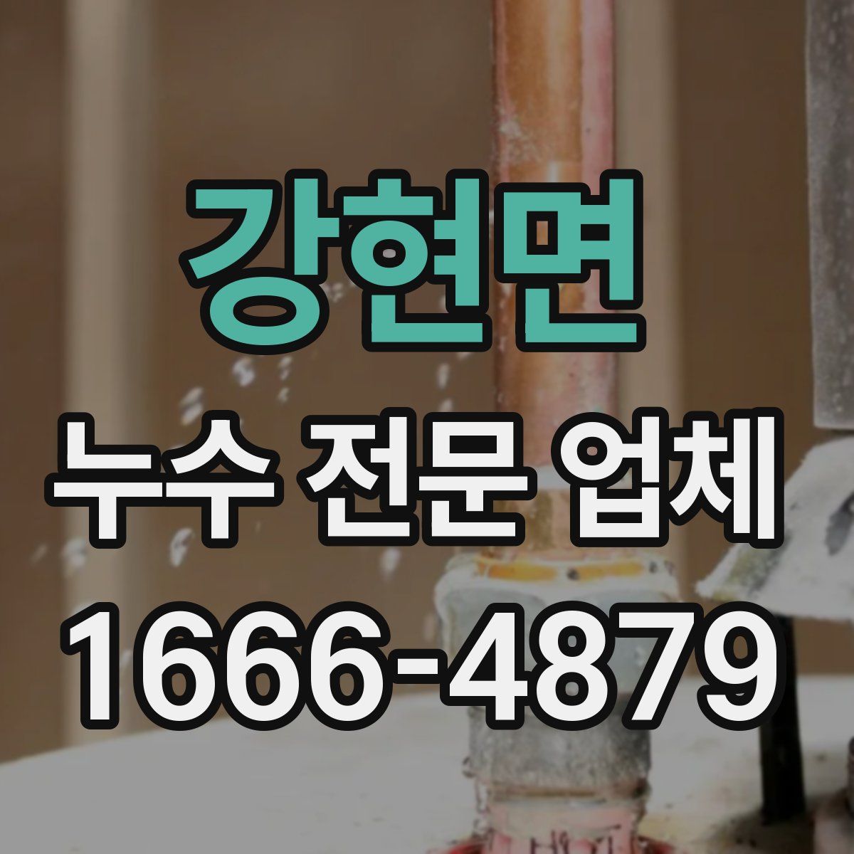 강현면 누수 전문 업체