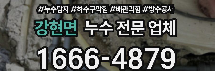 강현면 누수 전문 업체