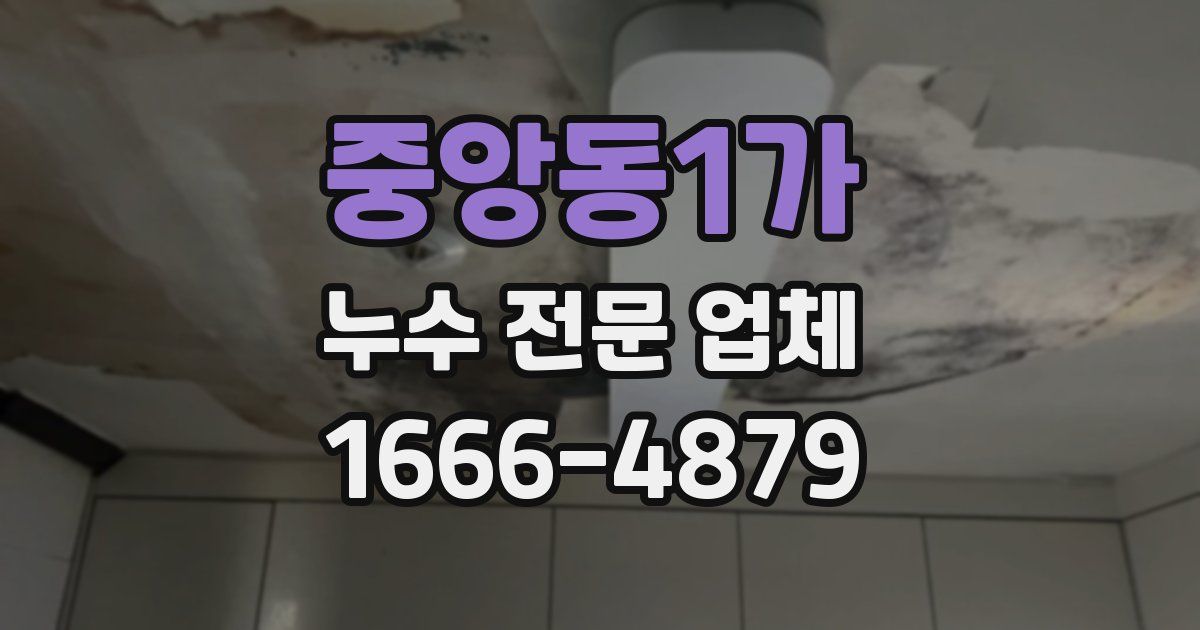 중앙동1가 누수 전문 업체