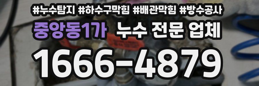 중앙동1가 누수 전문 업체