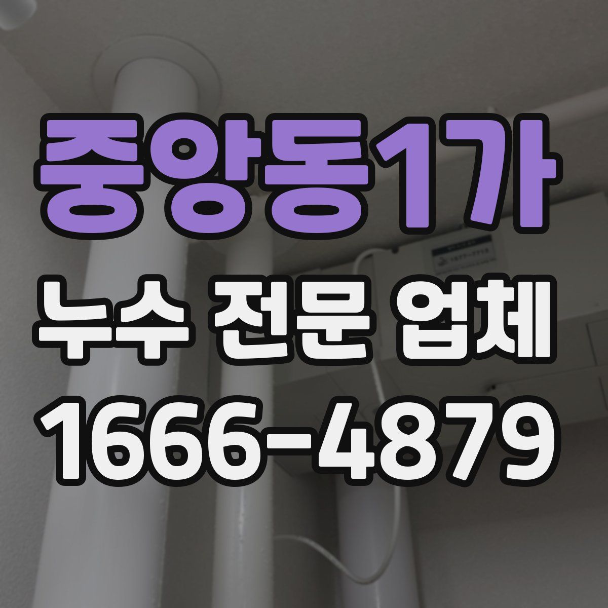 중앙동1가 누수 전문 업체