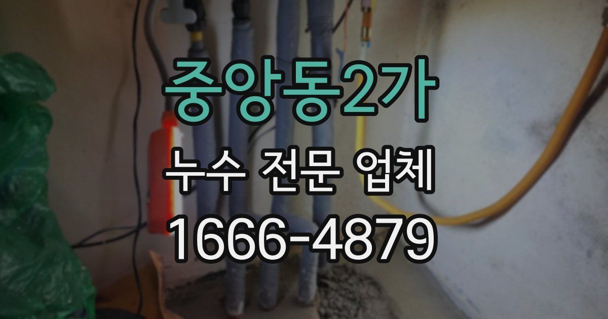 중앙동2가 누수 전문 업체