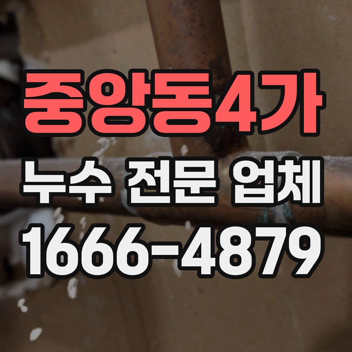 중앙동4가 누수 전문 업체