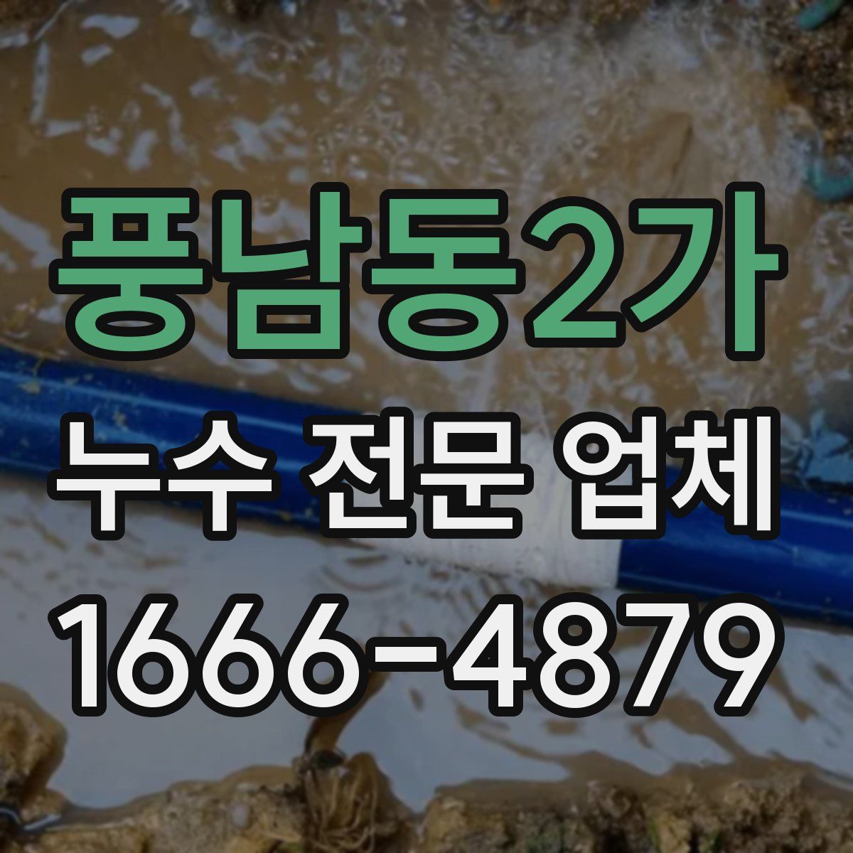 풍남동2가 누수 전문 업체