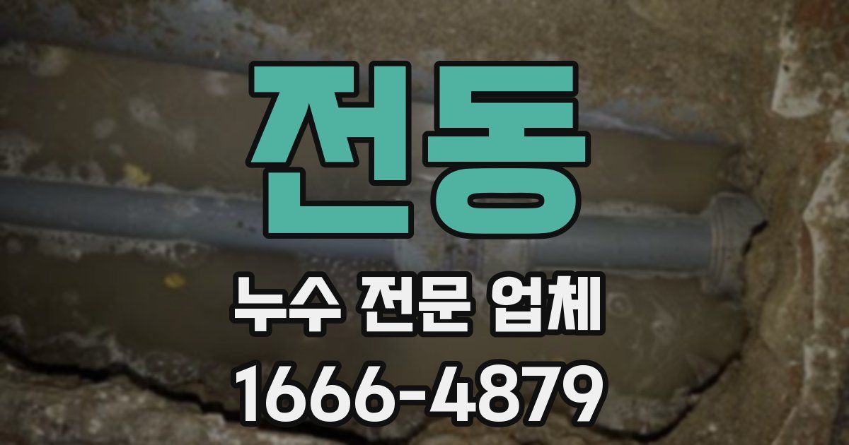 전동 누수 전문 업체