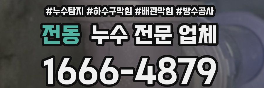 전동 누수 전문 업체