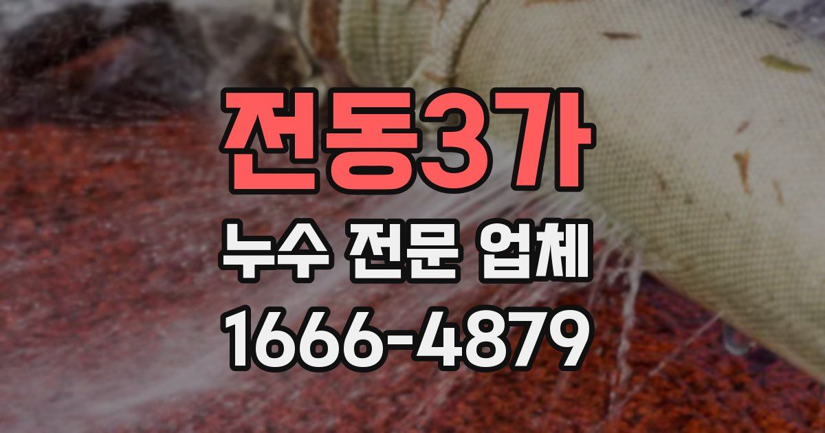 전동3가 누수 전문 업체