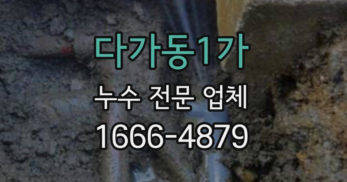 다가동1가 누수 전문 업체