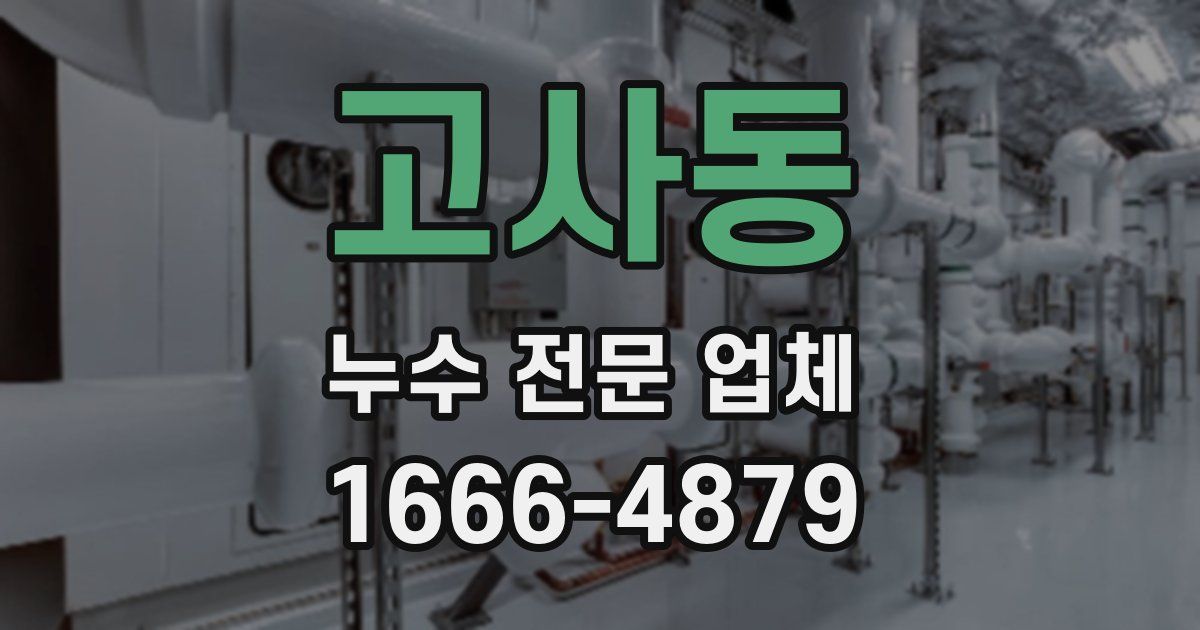 고사동 누수 전문 업체