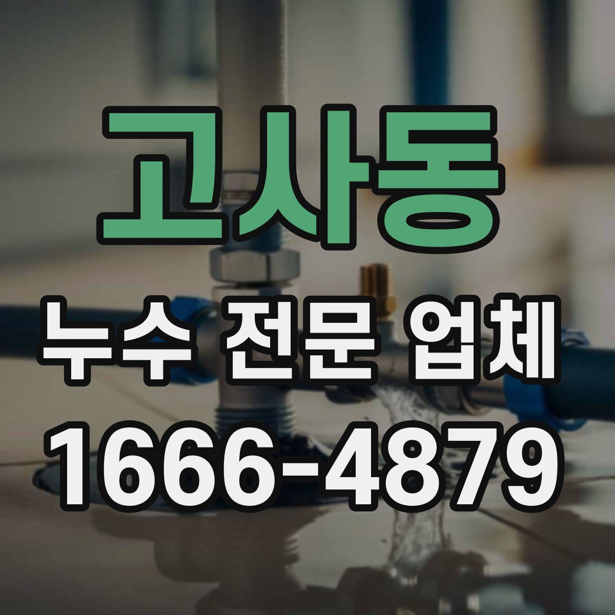 고사동 누수 전문 업체