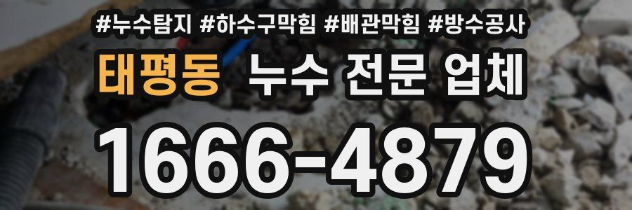태평동 누수 전문 업체