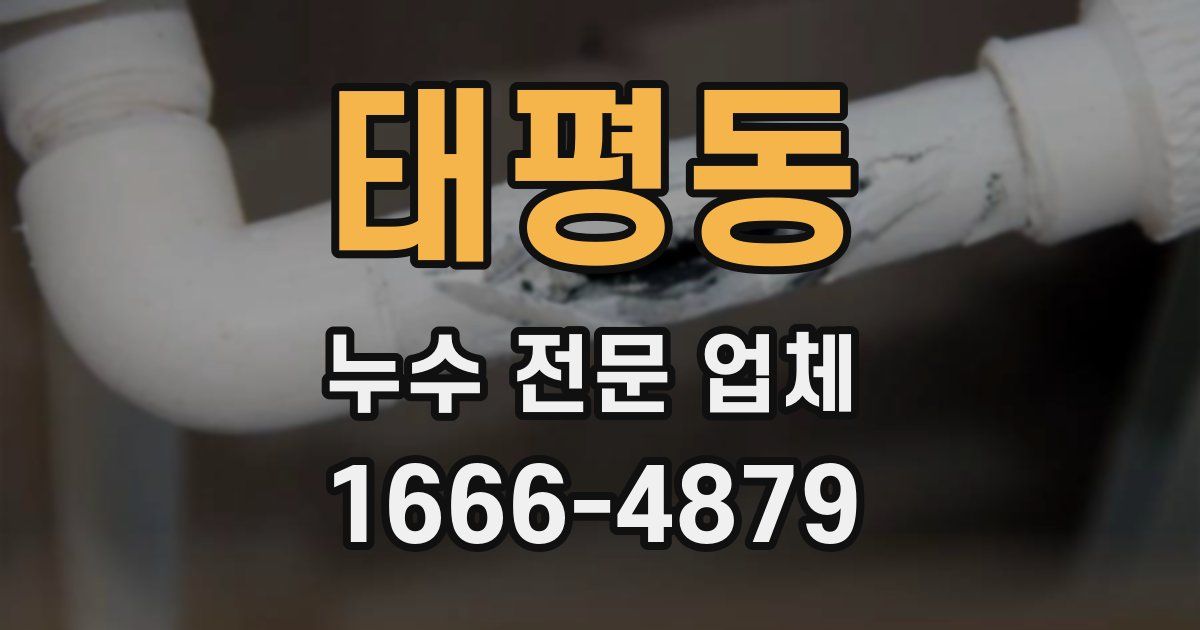 태평동 누수 전문 업체