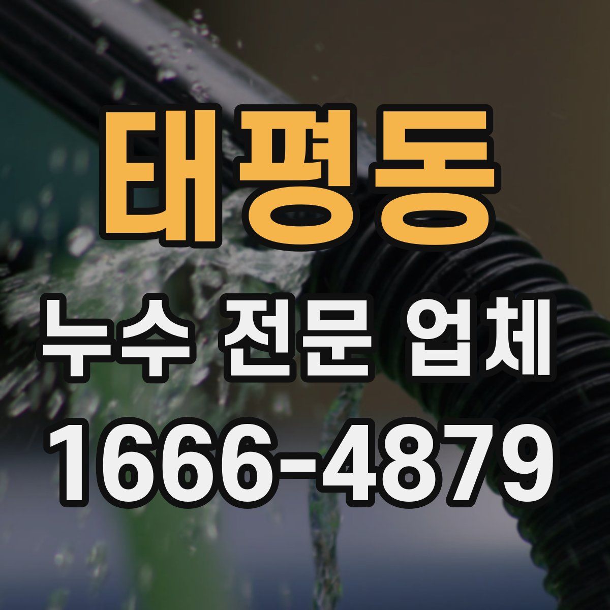 태평동 누수 전문 업체