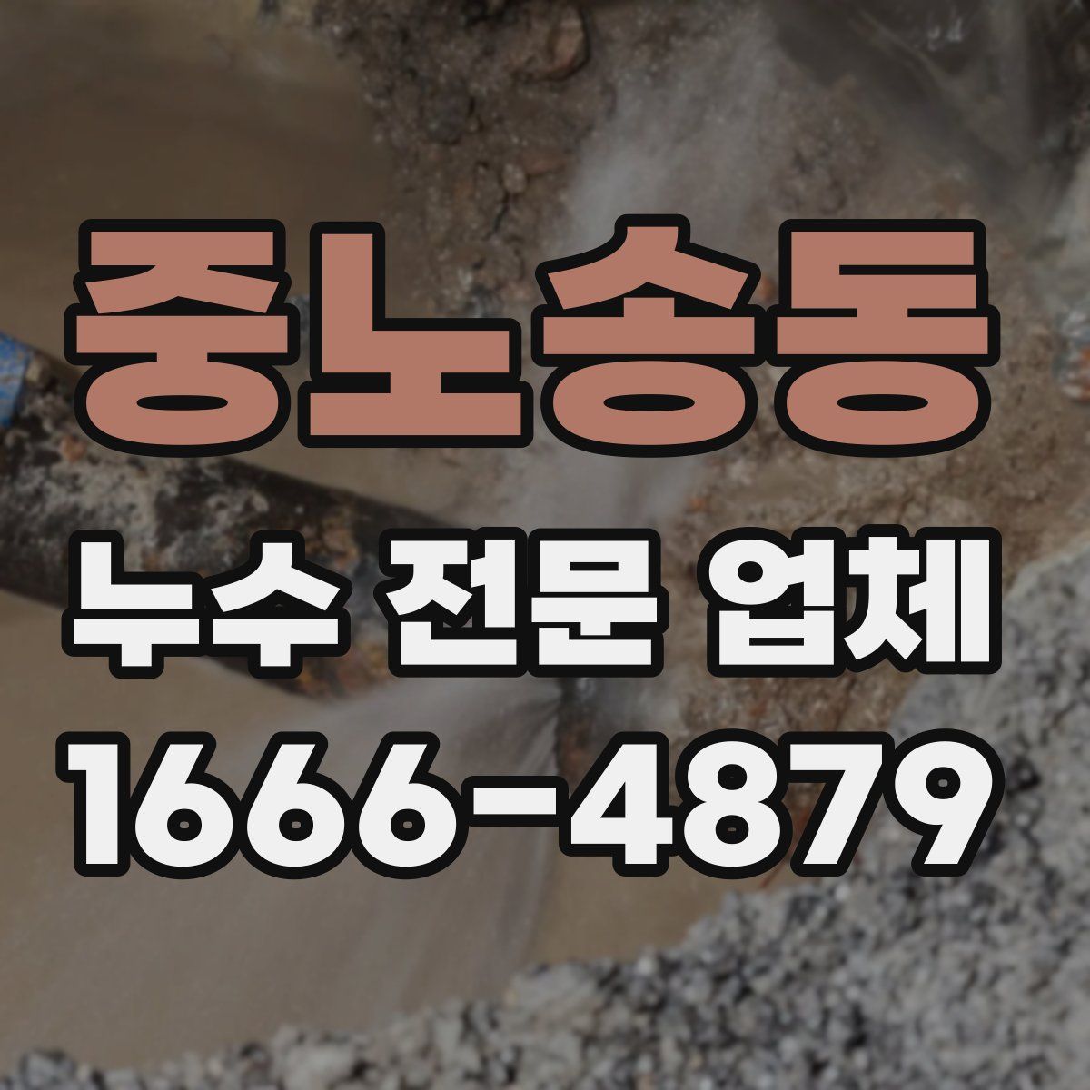 중노송동 누수 전문 업체