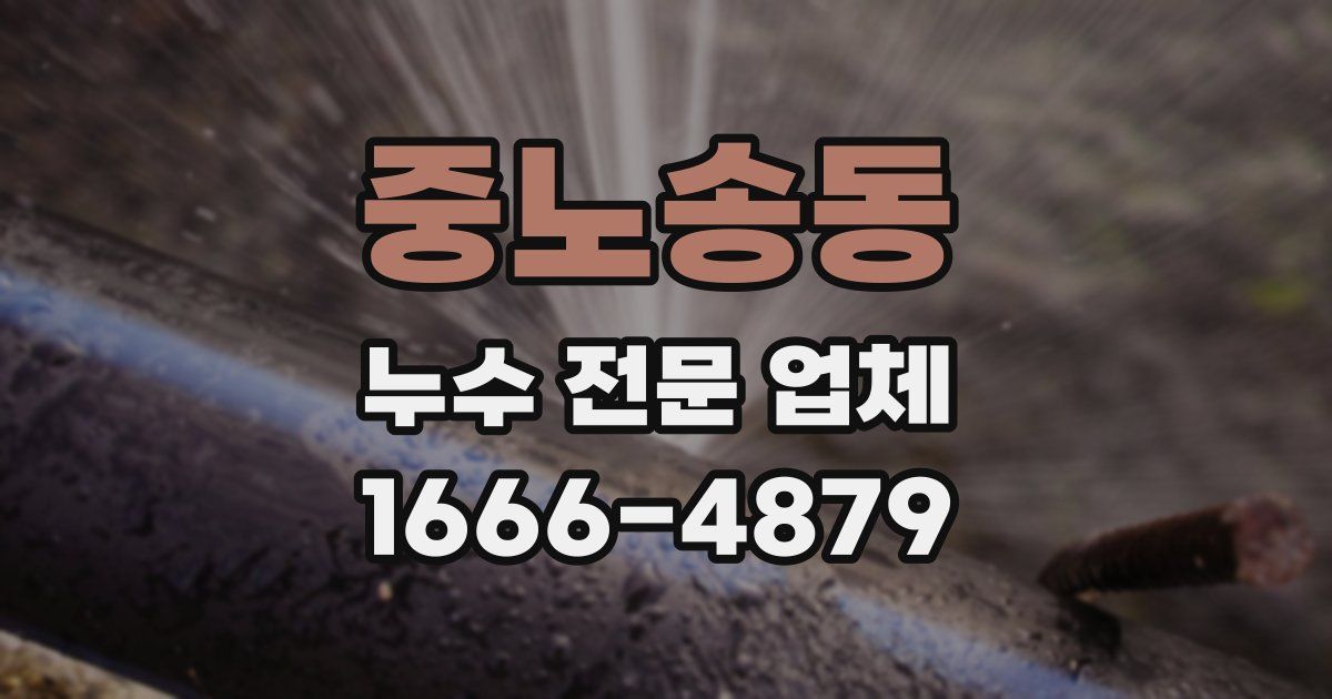 중노송동 누수 전문 업체