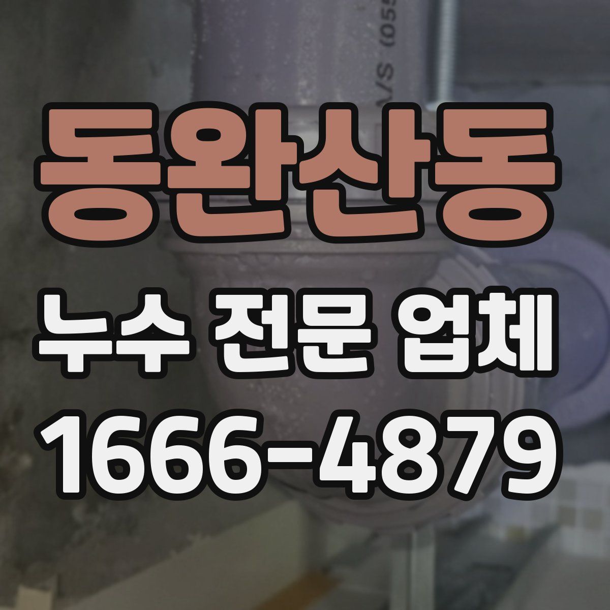동완산동 누수 전문 업체