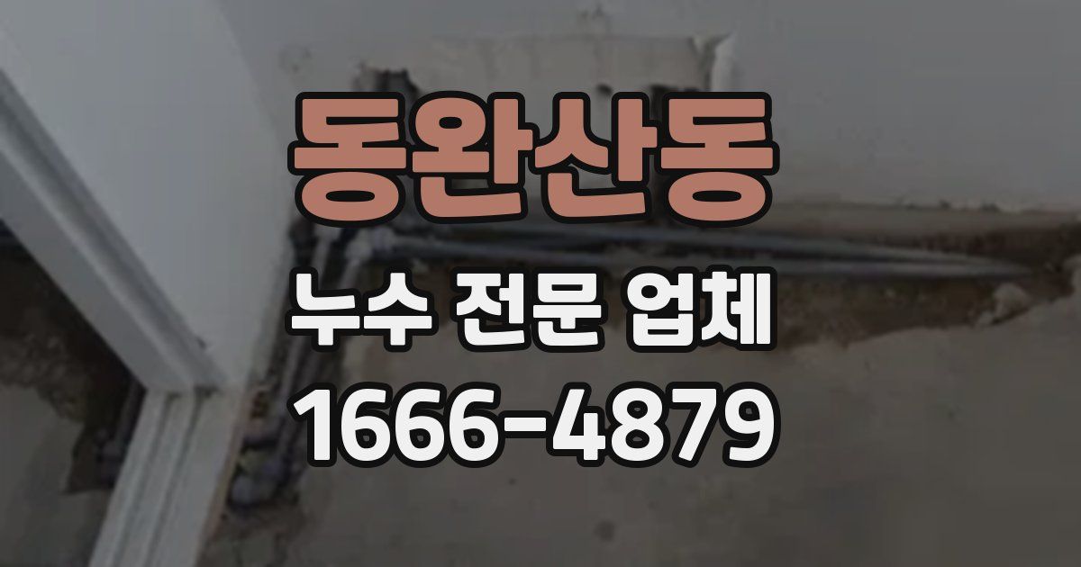 동완산동 누수 전문 업체