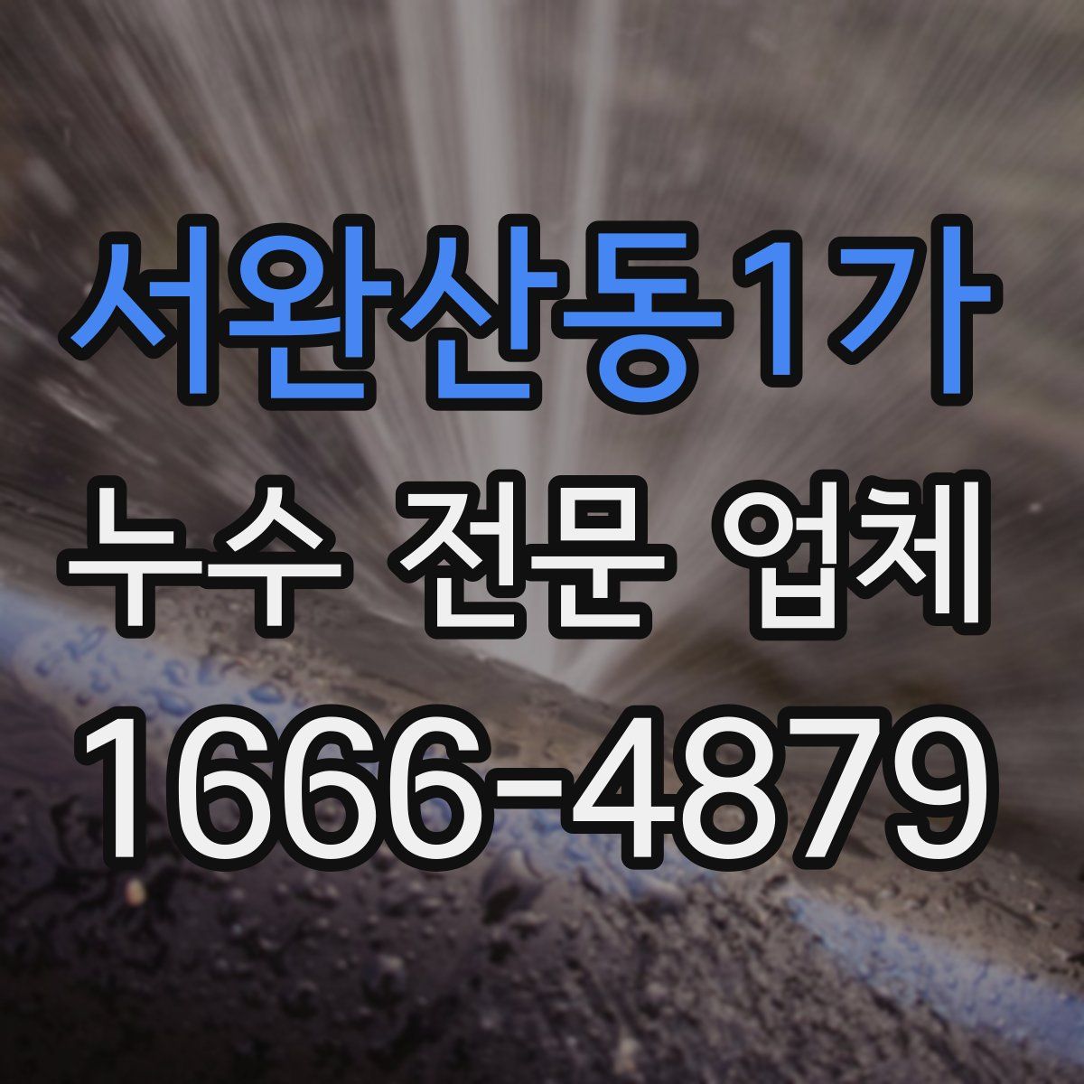 서완산동1가 누수 전문 업체