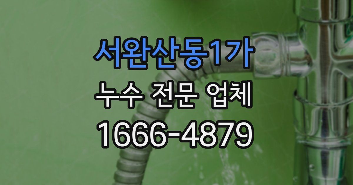 서완산동1가 누수 전문 업체
