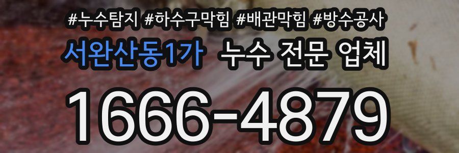 서완산동1가 누수 전문 업체