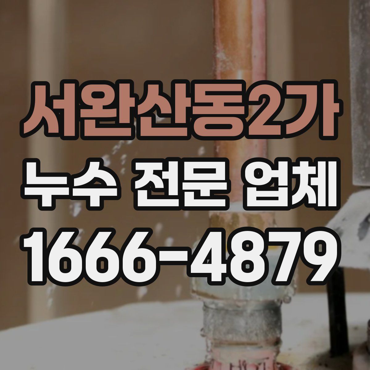 서완산동2가 누수 전문 업체