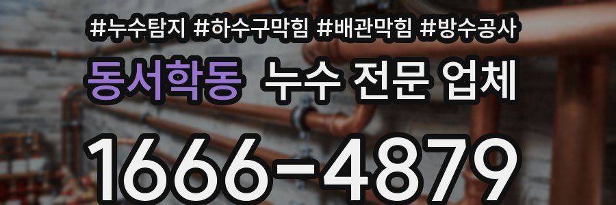 동서학동 누수 전문 업체